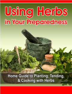 Using Herbs in Your Preparedness