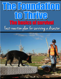 The Foundation to Thrive:  Basics of Survival