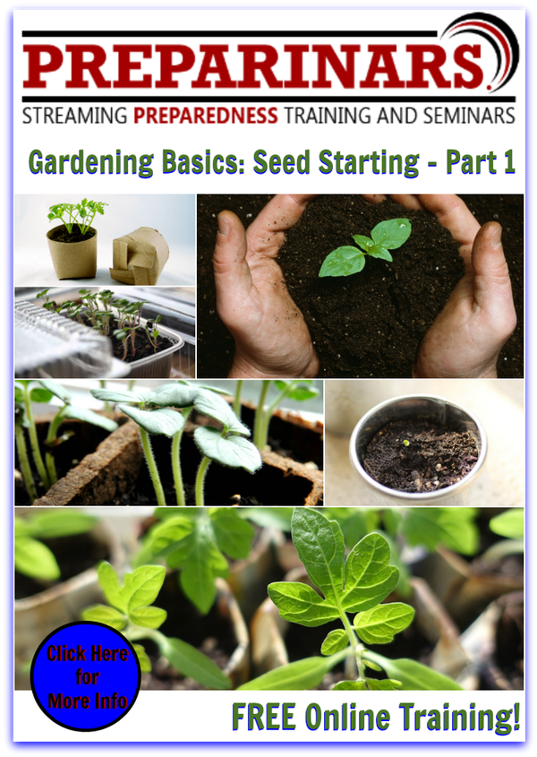 Gardening Basics Seed Starting